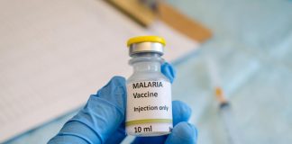 Zöld utat kapott a WHO-tól a malária elleni vakcina Zold utat kapott a WHO tol a malaria elleni vakcina