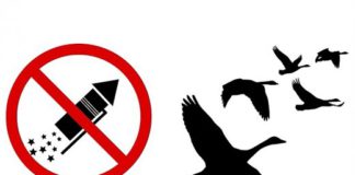 Idén sem lesz tűzijáték Tatán Iden sem lesz tuzijatek Tatan