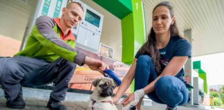 Jövőre még több benzinkúton lesznek elérhetők a kutyachip-leolvasók Jovore meg tobb benzinkuton lesznek elerhetok a kutyachip leolvasok