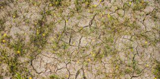 Kihirdették a tartósan vízhiányos időszakot Kihirdettek a tartosan vizhianyos idoszakot