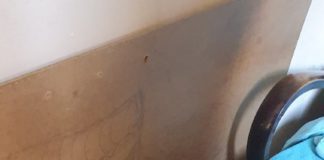 Rendőrök vetettek véget a biznisznek Rendorok vetettek veget a biznisznek