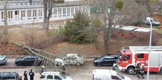 Viharkárokon dolgoznak a tűzoltók megyeszerte Viharkarokon dolgoznak a tuzoltok megyeszerte