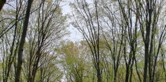 Vakok és gyengénlátók a Gerecse Teljesítménytúrán Gerecse 10 1893104031040607