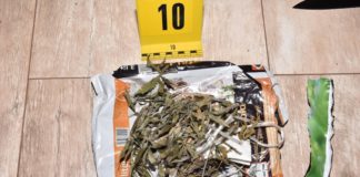 KÁBÍTÓSZER TERJESZTŐT FOGOTT A TATABÁNYAI RENDŐRSÉG 03.15