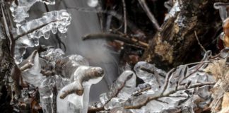 ÚLYOS KÁROKAT OKOZTAK A GYÜMÖLCSÖSÖKBEN AZ ÉJSZAKAI FAGYOK 03.30