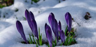 TÖBBFELÉ VÁRHATÓ HAVAZÁS HÚSVÉTKOR 04.07