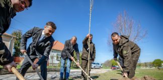 TÍZEZER FÁT ÜLTETNEK EL AZ IDÉN A TELEPÜLÉSFÁSÍTÁSI PROGRAMBAN 04.12