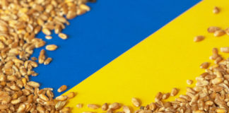 HAZÁNK MEGTILTJA A MEZŐGAZDASÁGI TERMÉKEK IMPORTJÁT UKRAJNÁBÓL 04.16