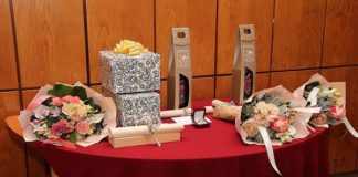 VÁROSI KITÜNTETÉSEKRE VÁRJÁK A JAVASLATOKAT OROSZLÁNYBAN 05.27