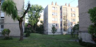 ÖKOLÓGIAI SZEMLÉLET JEGYÉBEN VÉGZIK A ZÖLDFELÜLET KARBANTARTÁST ESZTERGOMBAN 06.11