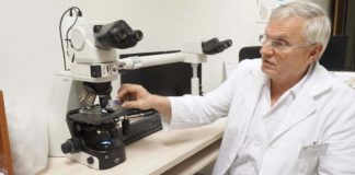 KELEMEN ENDRE EMLÉKPLAKETTET KAPOTT DR. DOMBI J. PÉTER 06.14