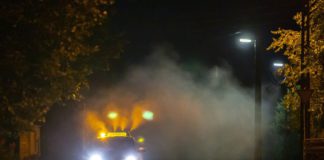 SAJÁT HATÁSKÖRBEN VÉGEZ SZÚNYOGIRTÁST TATA A JÖVŐ HÉTEN 06.24