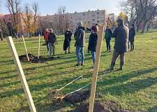 FOLYTATÓDOTT A FAÜLTETÉS KOMÁROMBAN 1121