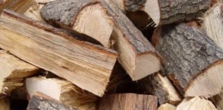 NEM VESZÉLYEZTETI HAZÁNK ERDŐIT A KORMÁNY RENDELETE 2022.08.12. Nem veszelyezteti