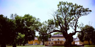 MEGÚJUL AZ ÁCSI MŰVELŐDÉSI HÁZ 2023.01.29 1